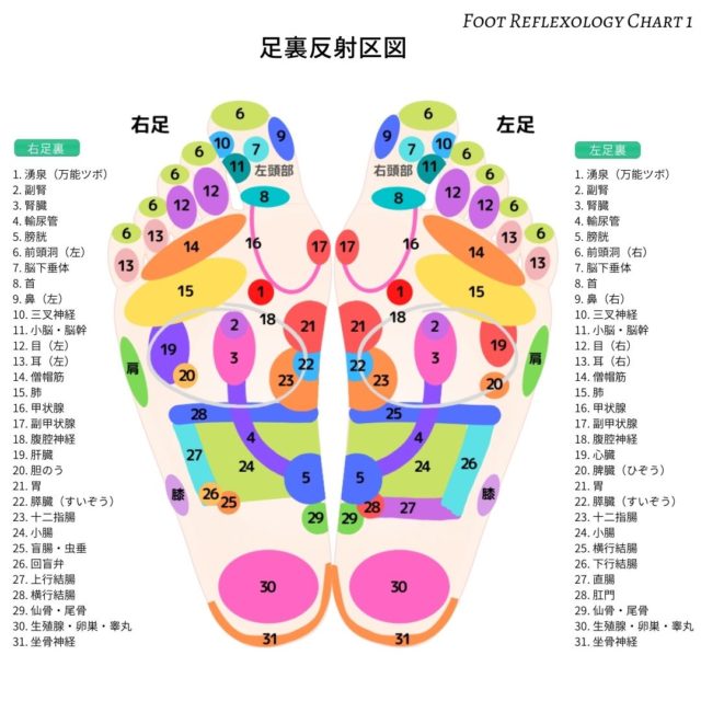 足裏のツボ 反射区 完全マップ かんたん図解付き