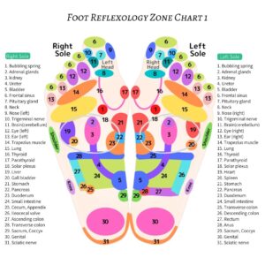 free-reflexology-zone-chart-en1