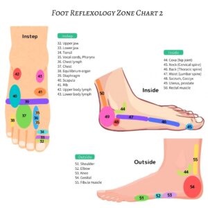 free-reflexology-zone-chart-en2